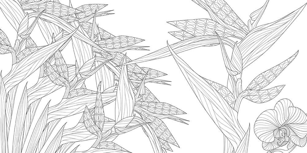 Wonderful Gardens: A Floral Adventure Coloring Book