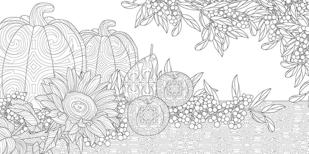 Wonderful Gardens: A Floral Adventure Coloring Book