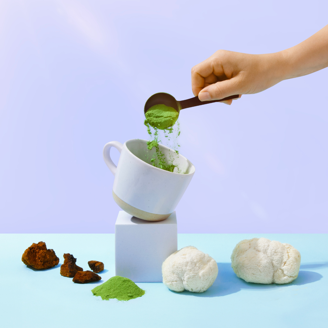 The Everyday Dose Mushroom Matcha+: Focus, Energy & Immunity Everyday Dose
