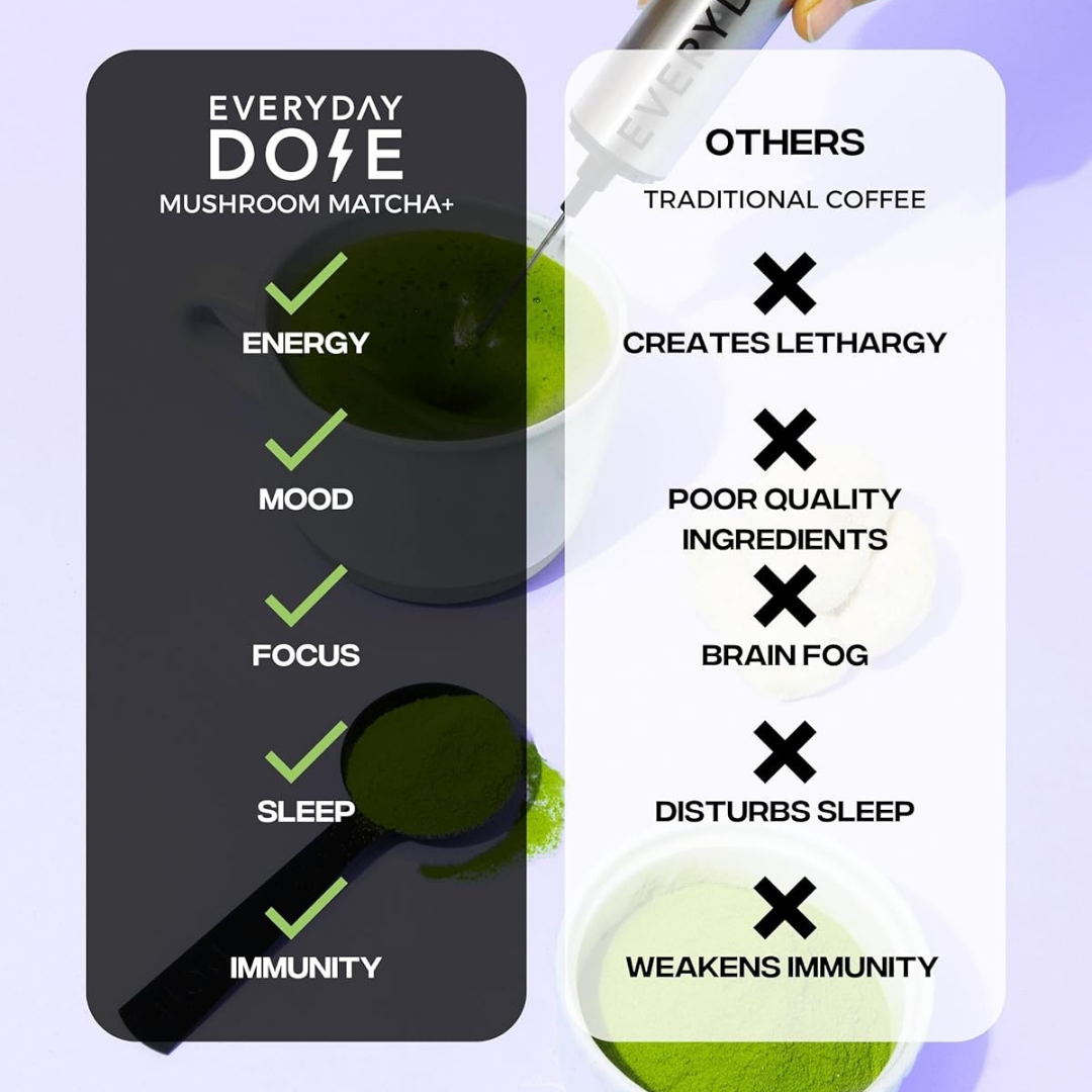 The Everyday Dose Mushroom Matcha+: Focus, Energy & Immunity Everyday Dose
