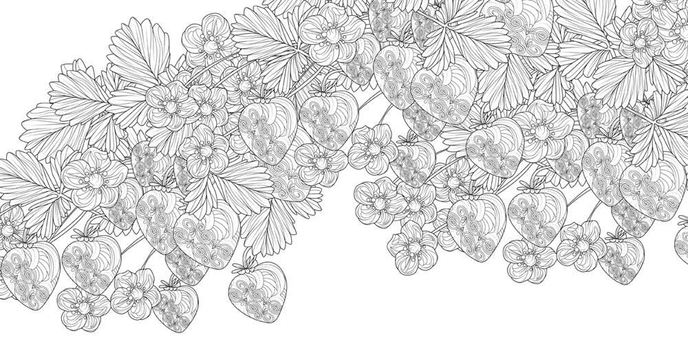 Wonderful Gardens: A Floral Adventure Coloring Book