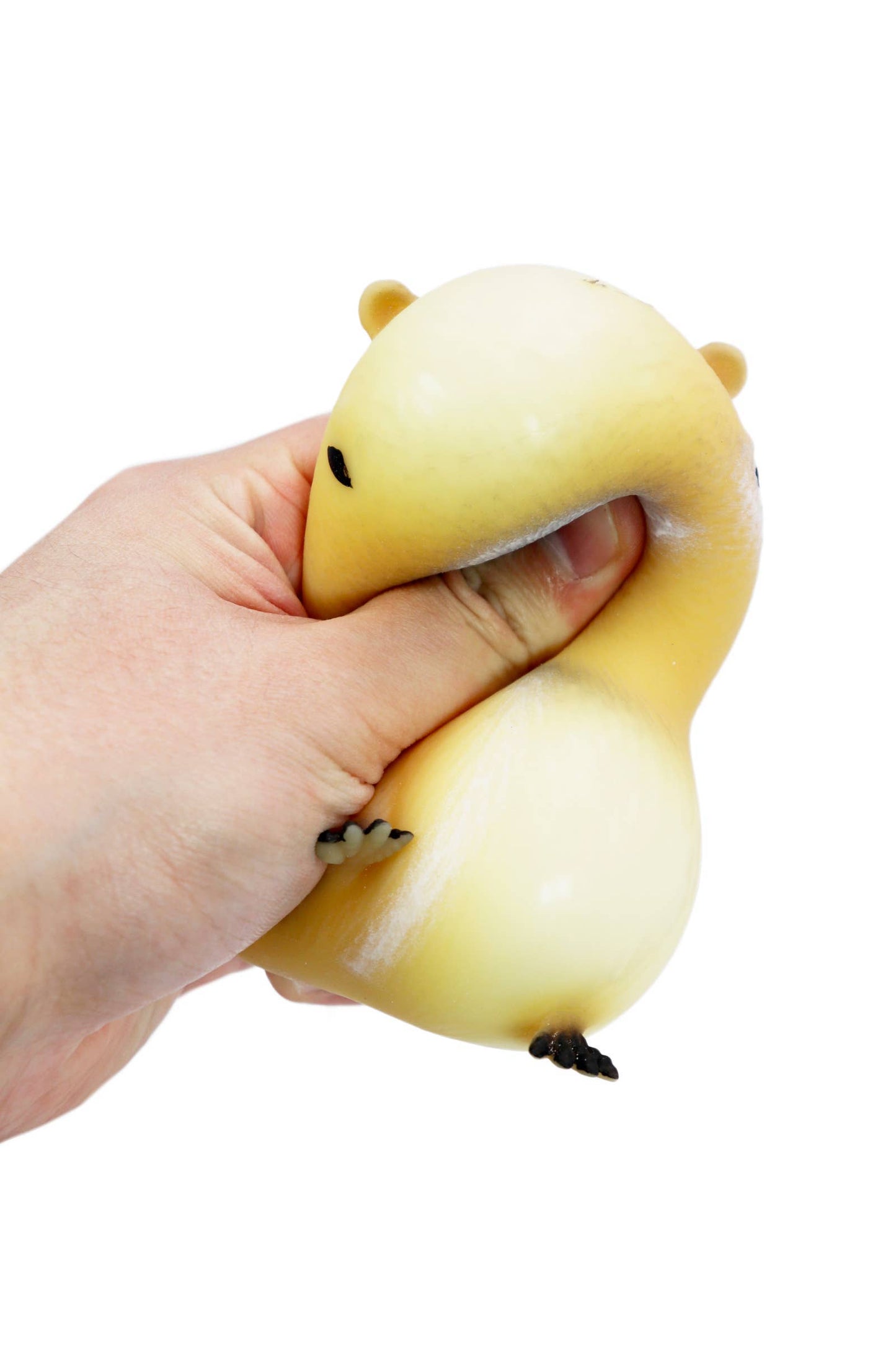 Capybara Fluffy Slime Filled TPR Squishy Toy: AS SHOWN / ONE SIZE