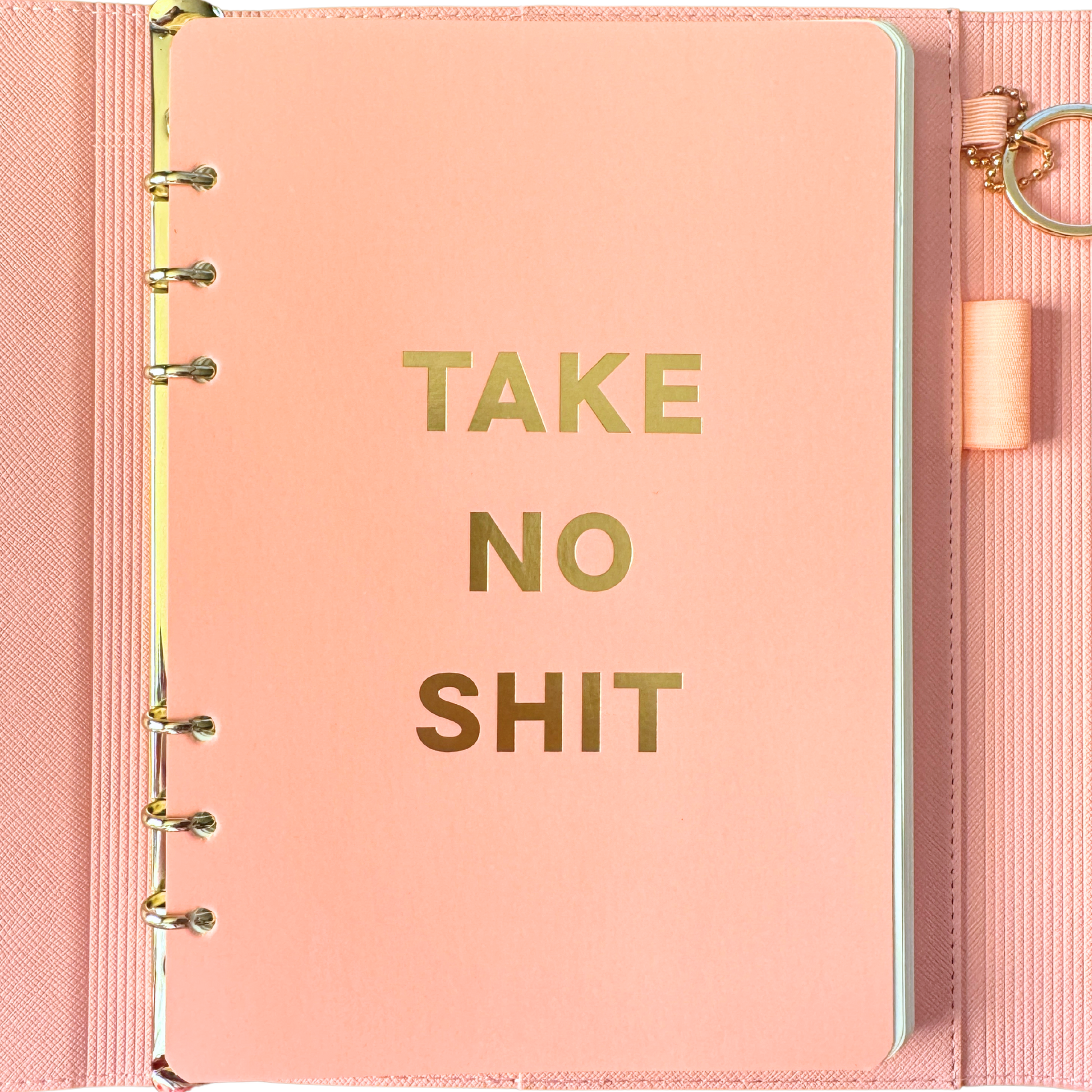 Take No Shit Vegan Leather Journal Planner (gifts, journals) FUN CLUB