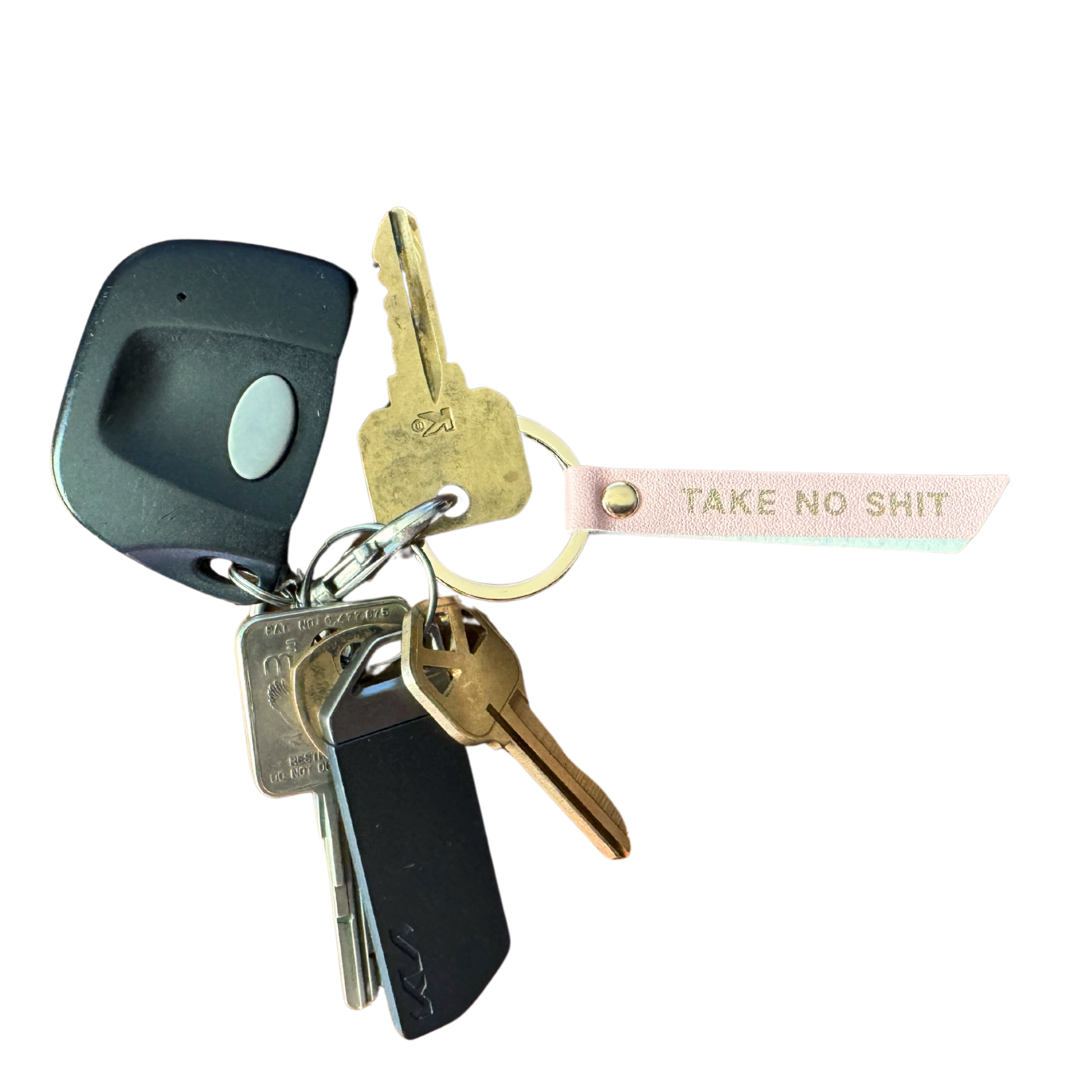 Take No Shit Vegan Leather Journal Planner (gifts, journals) FUN CLUB