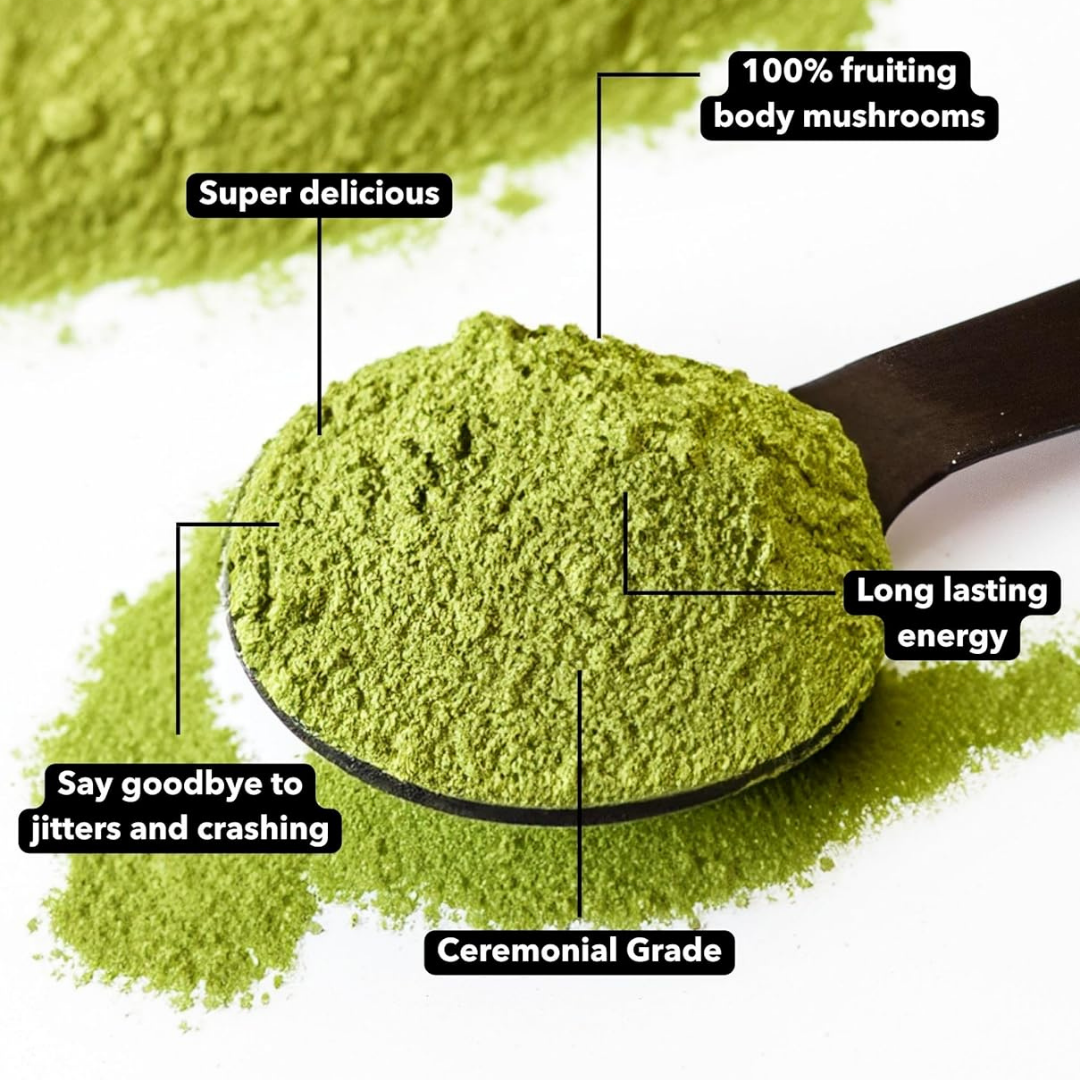 The Everyday Dose Mushroom Matcha+: Focus, Energy & Immunity Everyday Dose