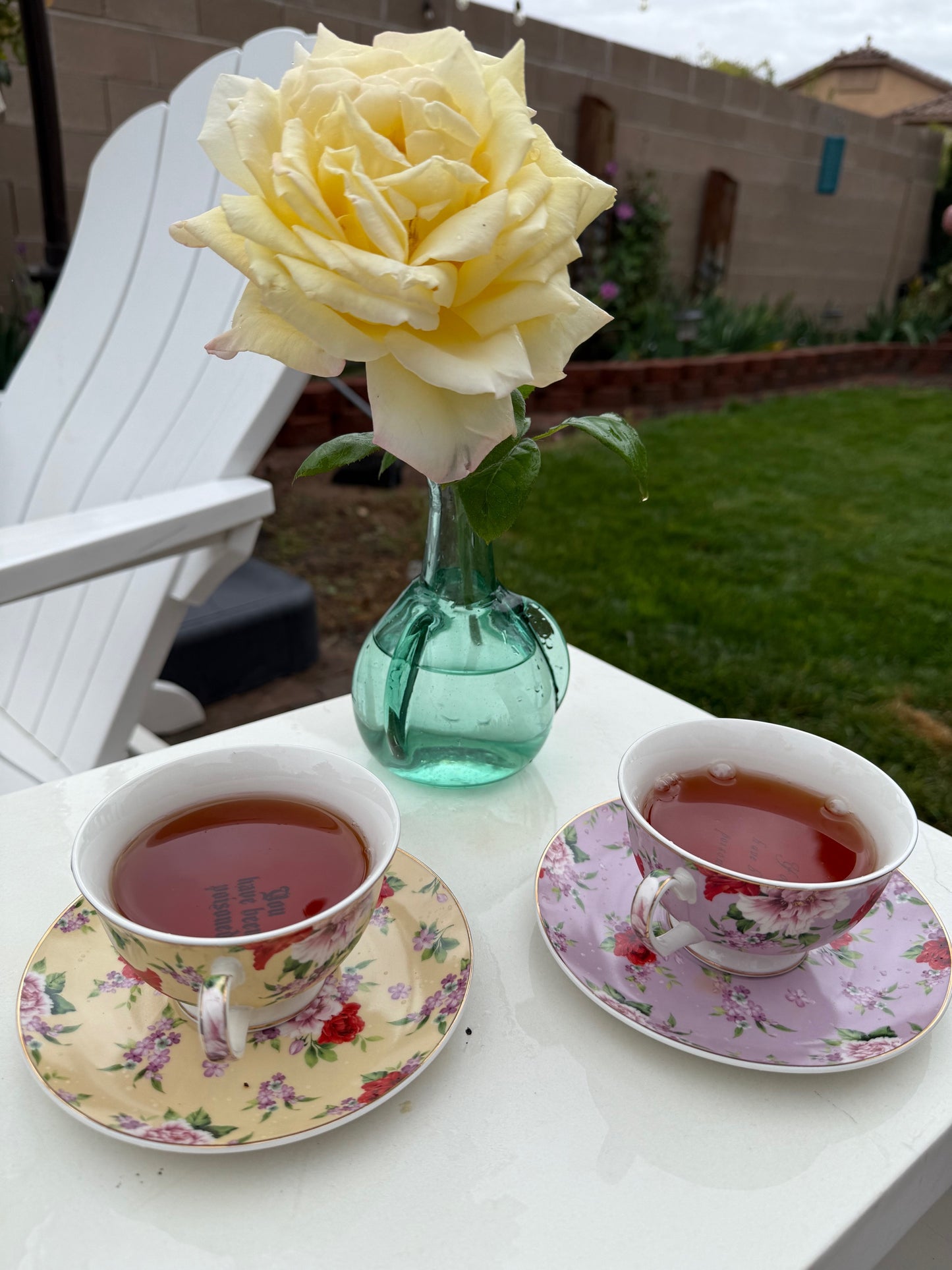 You’ve been poisoned, Tea cup and saucer, Yellow and Red Floral