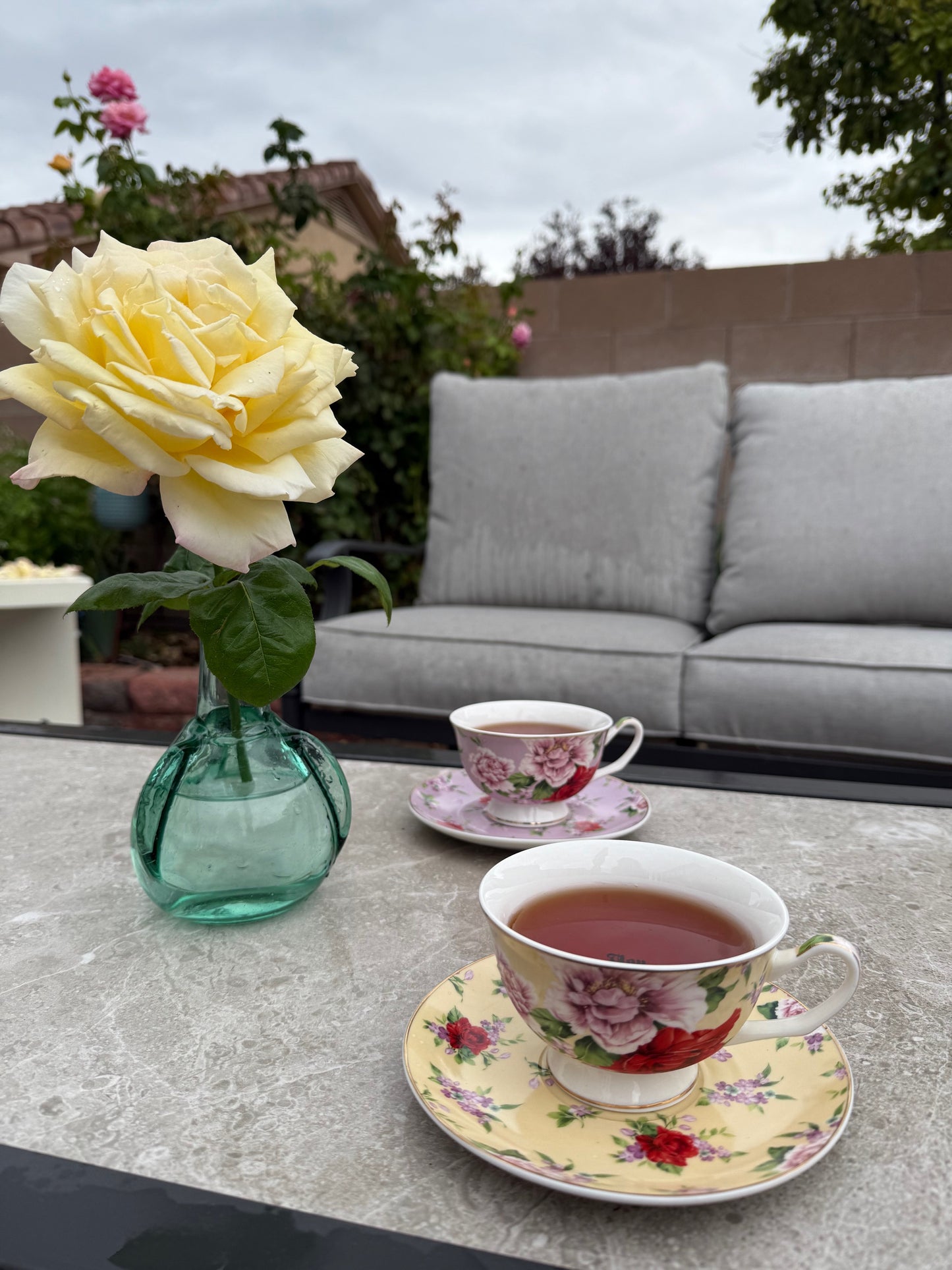 You’ve been poisoned, Tea cup and saucer, Yellow and Red Floral
