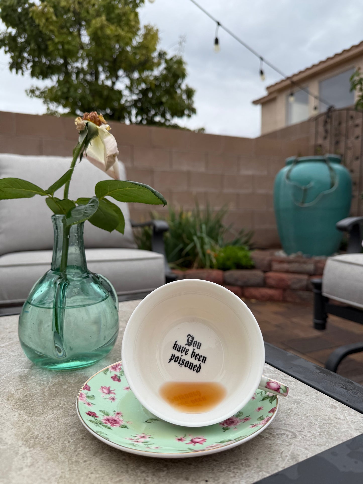 You've been Poisoned Tea Cup & Bye Saucer, Sea Foam Green and pink Rose Floral Pattern