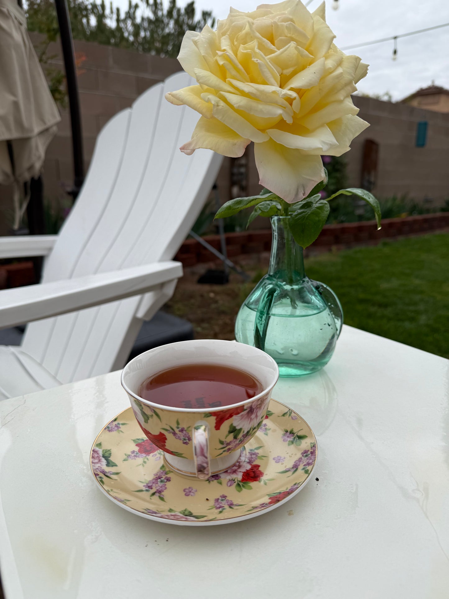You’ve been poisoned, Tea cup and saucer, Yellow and Red Floral