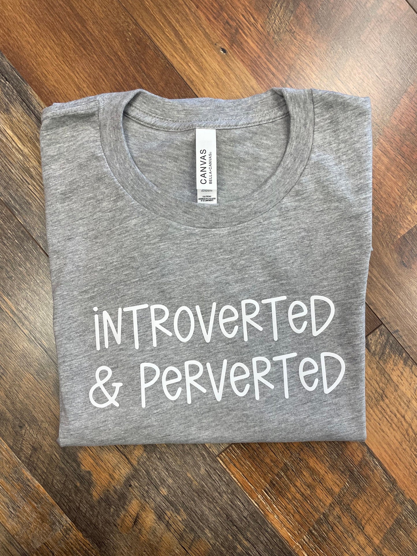 Introverted & Perverted, Gray T-shirt
