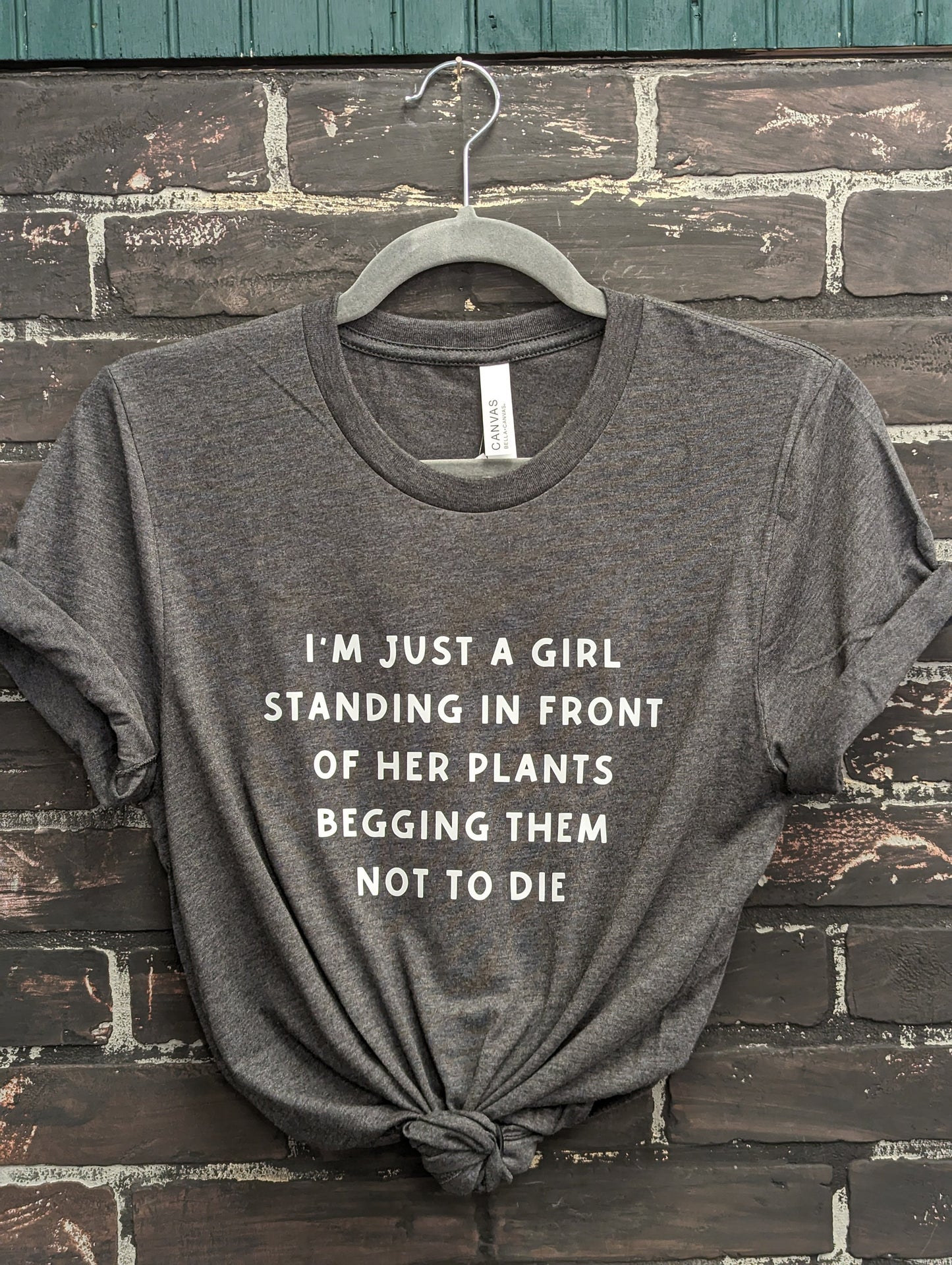 I'm just a girl standing in front of my plants begging them not to die, Dark Gray T-shirt