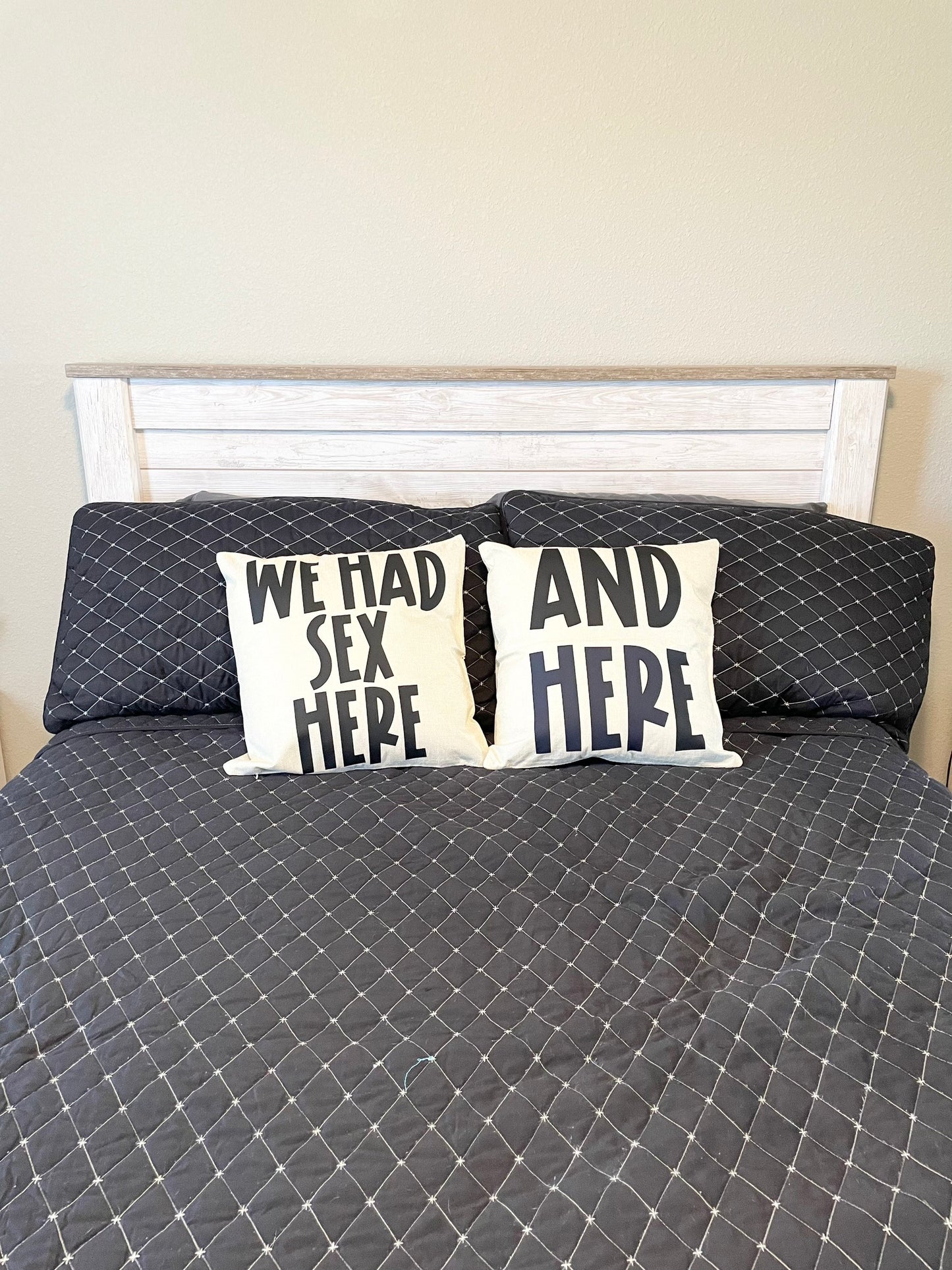 We had sex here, and here, 17x17 Pillowcase Set of 2, With or Without Pillows